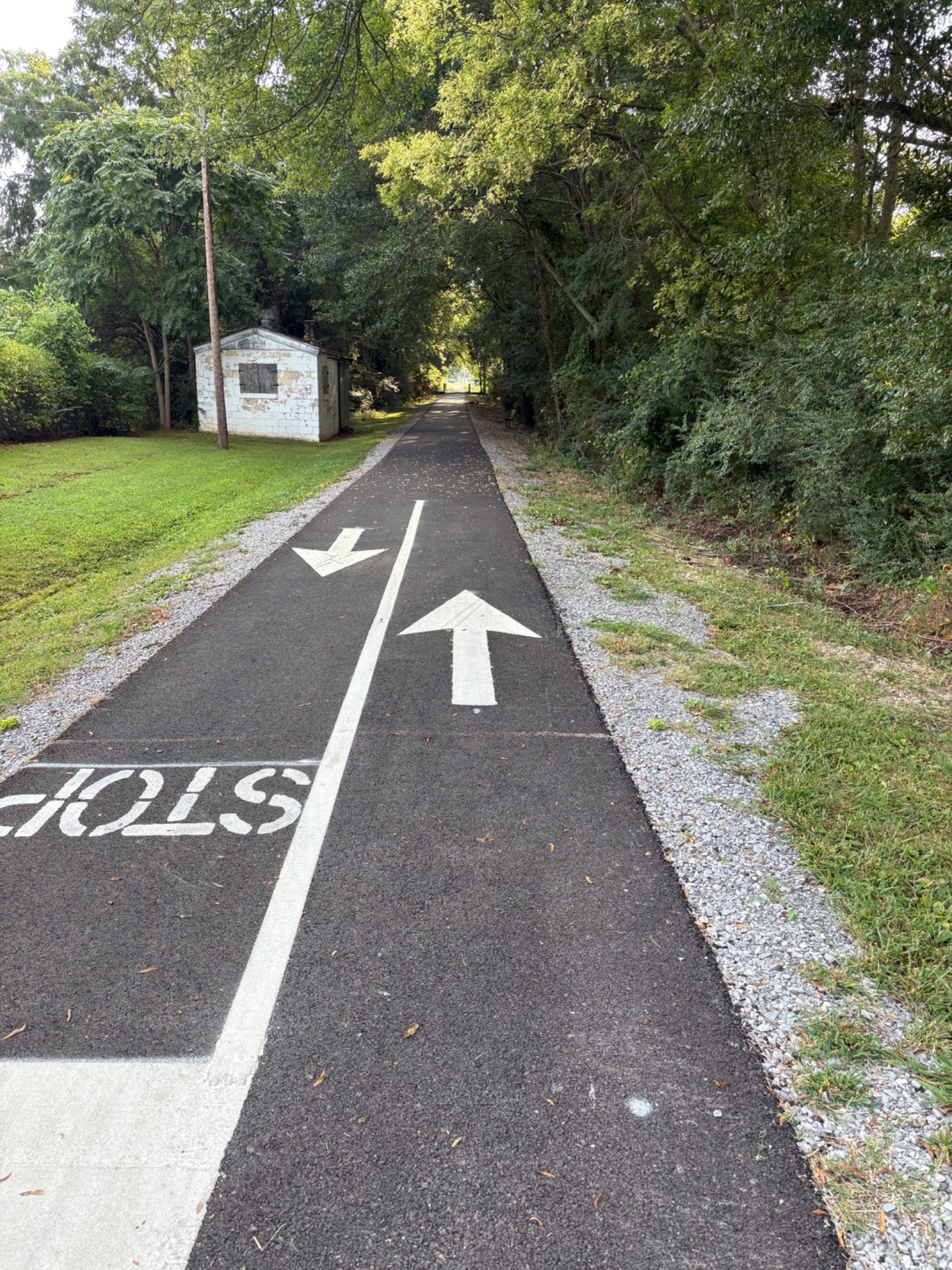 Kayaking on Terrapin Creek